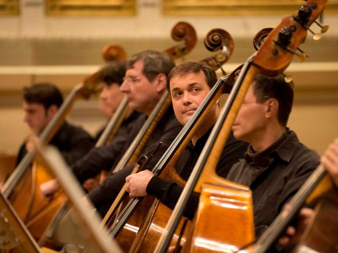 Eine Gruppe männlicher Kontrabassisten