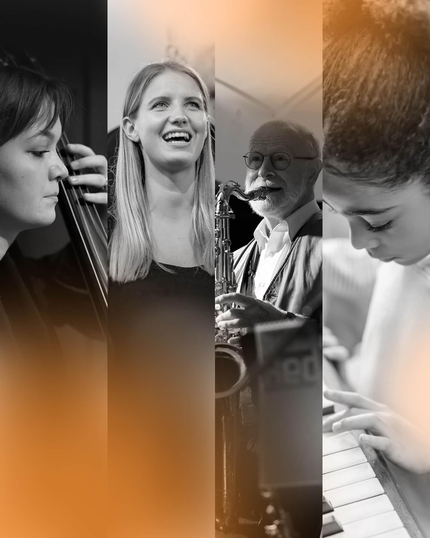 Coverbild Amateurmusikstudie