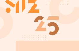 Abbildung: grafische Elemente miz 25 Jahre