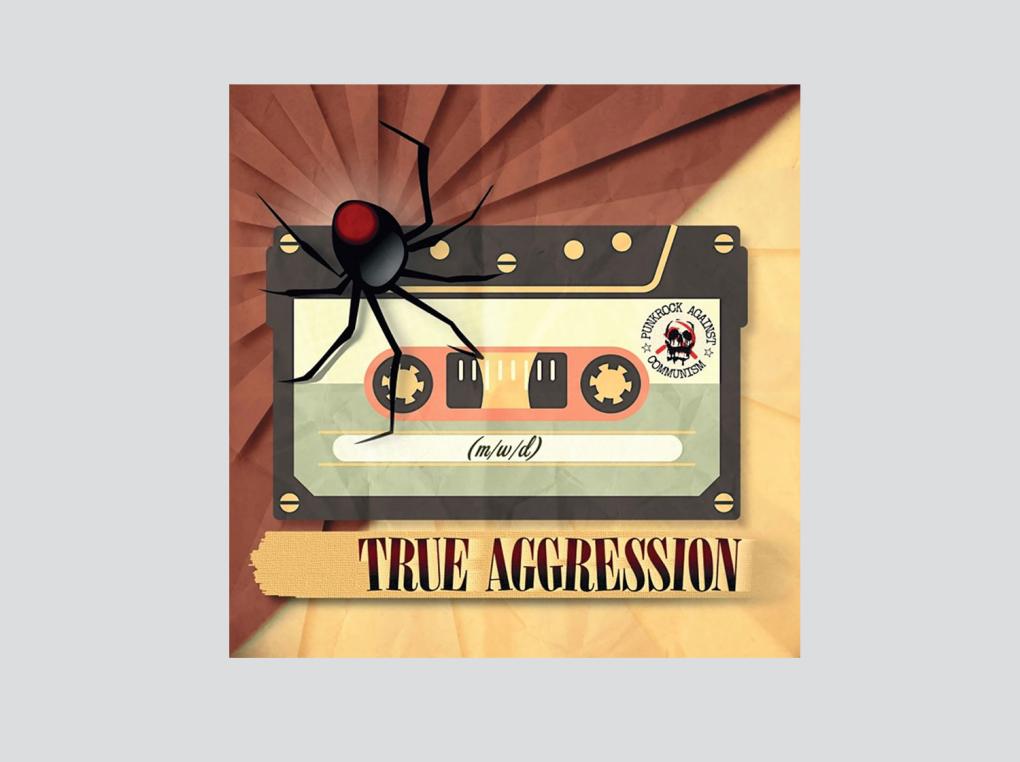 Cover der CD (m/w/d) der RechtsRockband True Aggression, 2022. Im Refrain des Titelsongs wird das bei Stellenausschreibungen übliche Kürzel m/w/d als m(ännlich), w(eiß), d(eutsch) aufgelöst.